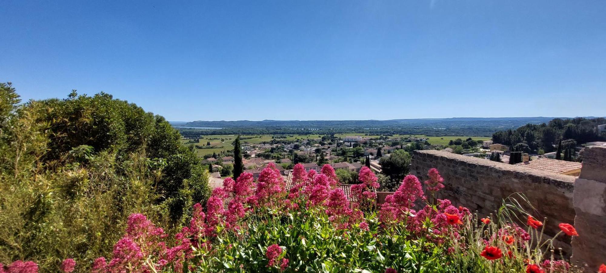 Gite De L'Olivier, Classe, Climatise, Jardin Avec Parking Gratuit Devant Le Logement Et A 5 Minutes Du Centre-Ville A Pied LʼIsle-sur-la-Sorgue Екстериор снимка